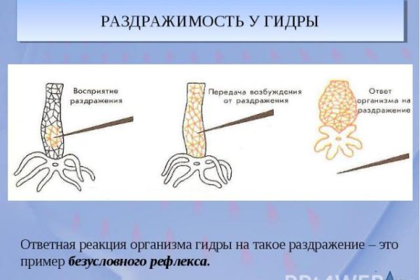 Kraken рабочее зеркало onion