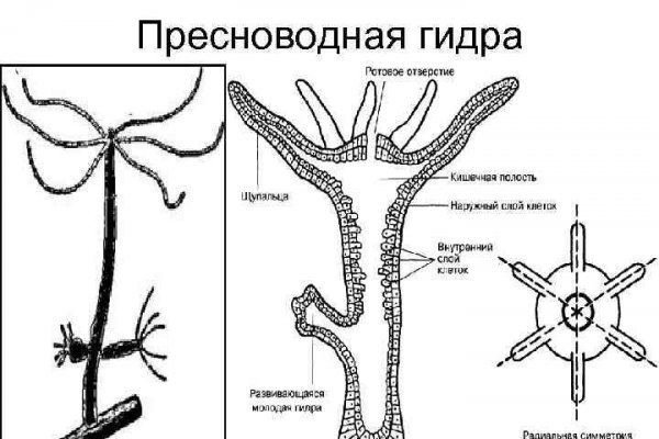 Что случилось с кракеном маркетплейс