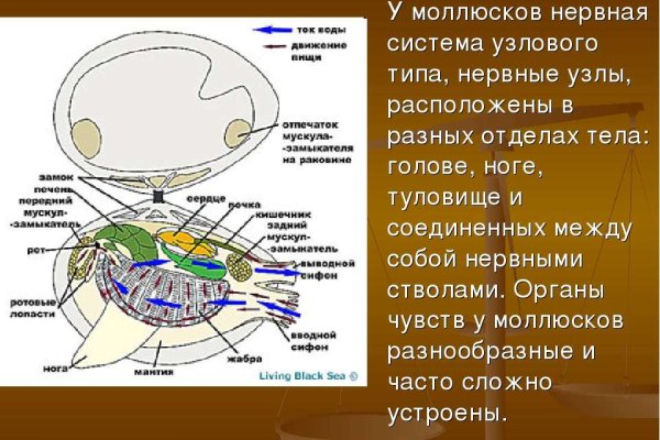 Где купить наркотиков